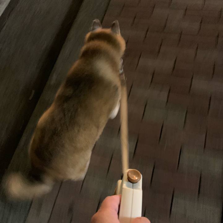 Af69b4bb 841b 4a1b ab30 e964edf2c0ac 1661777740607