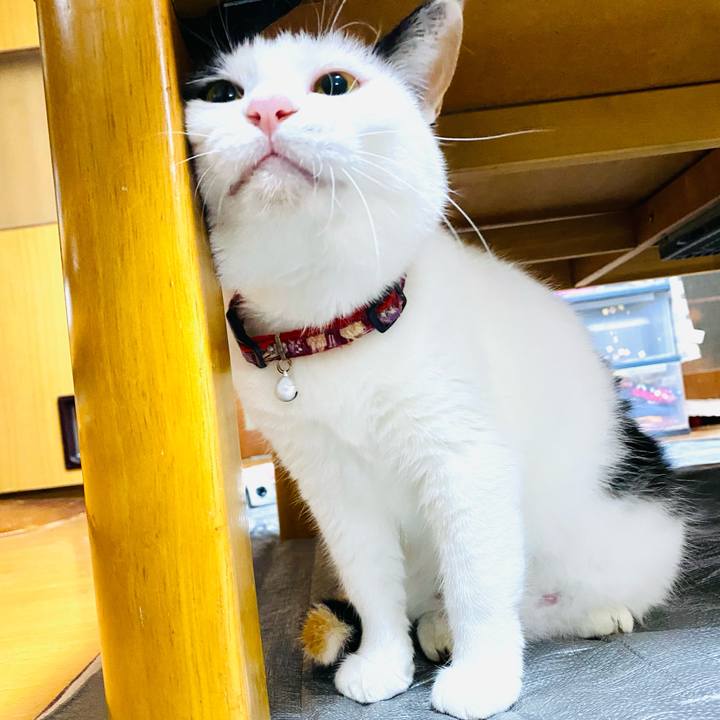 Af69bfe2 df3c 4a60 b749 a3388bc5005d 1686410537366