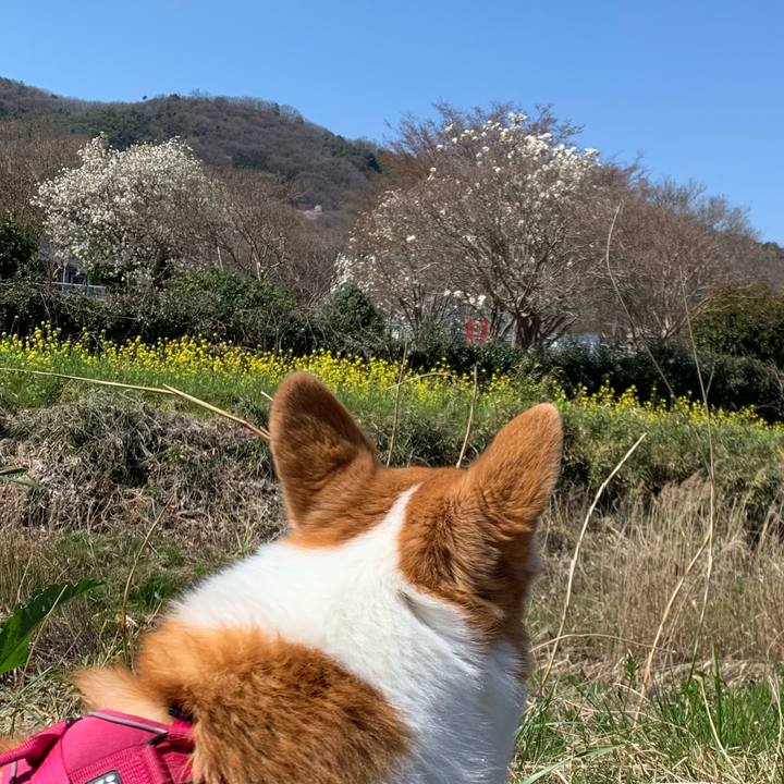 Af69c731 1410 41a7 93fa d0412c29fd5b 1679284406119