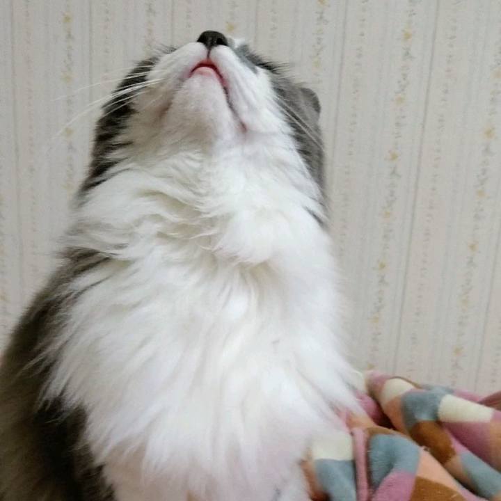 Af6a1d81 7181 4017 985d c83262fd8318 1587162655674