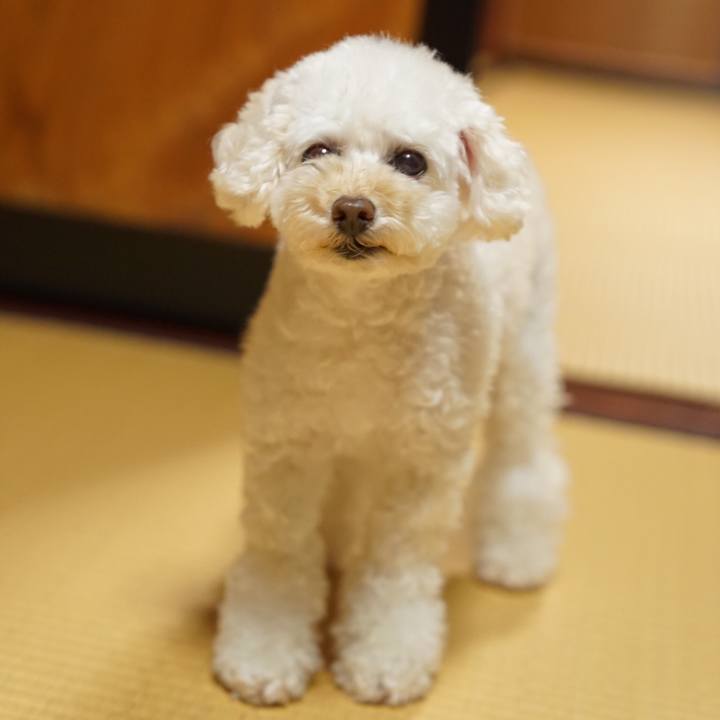 Af6a2423 5075 4834 b556 d79062be6309 1540182549222