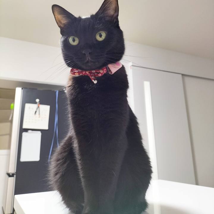 Af6a2faa 8954 43dd b22f db08200ad33c 1684406052612