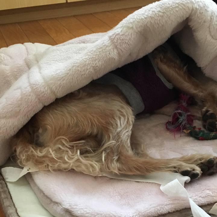 Af6a3bb3 f4d2 4e44 848f 706094123a20 1512003902957