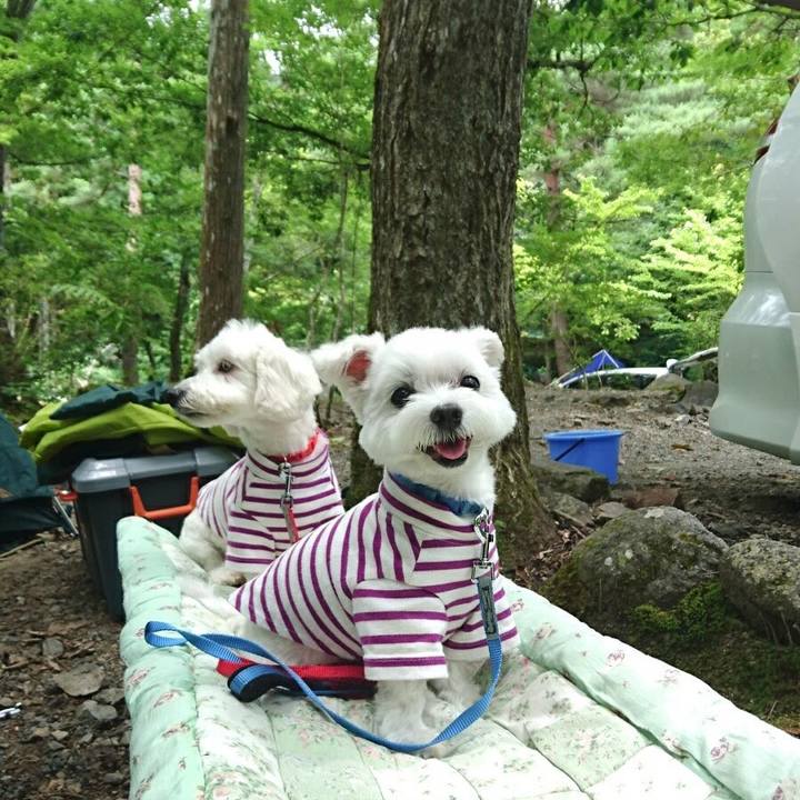 Af6a459d 23fb 4a4b 82ec f8dc03fd54db 1532066350609