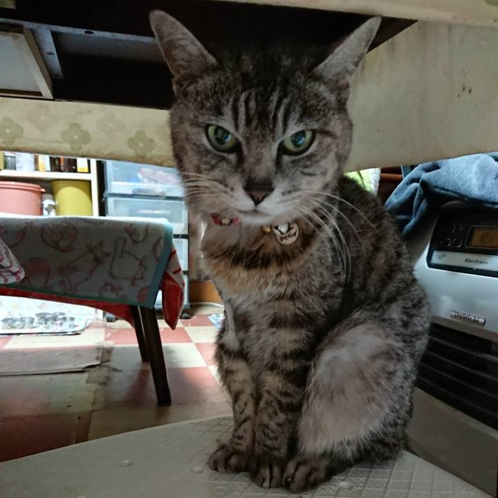 Af6a6238 b380 418c 89b1 8a567b2c831b 1589226806920