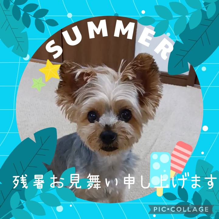 Af6a8d5f b60e 421c b73a e6b28f47ed0f 1723950027011