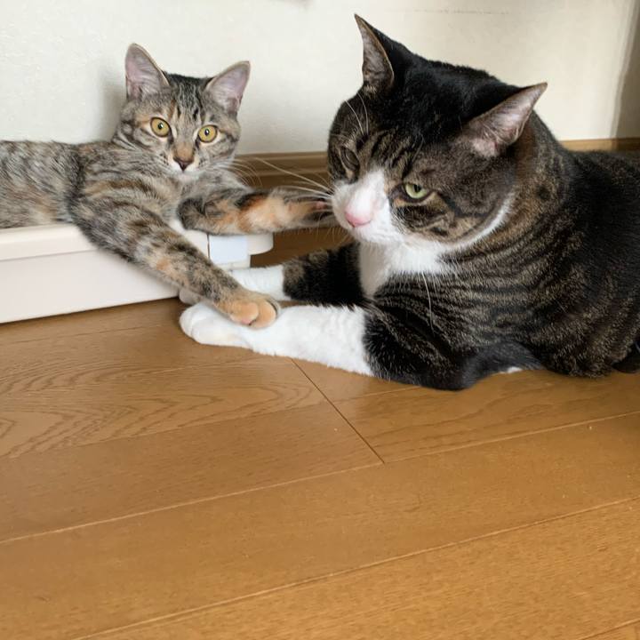 Af6aba90 11d2 40ed 8ee8 92b61ffd063c 1597812605542