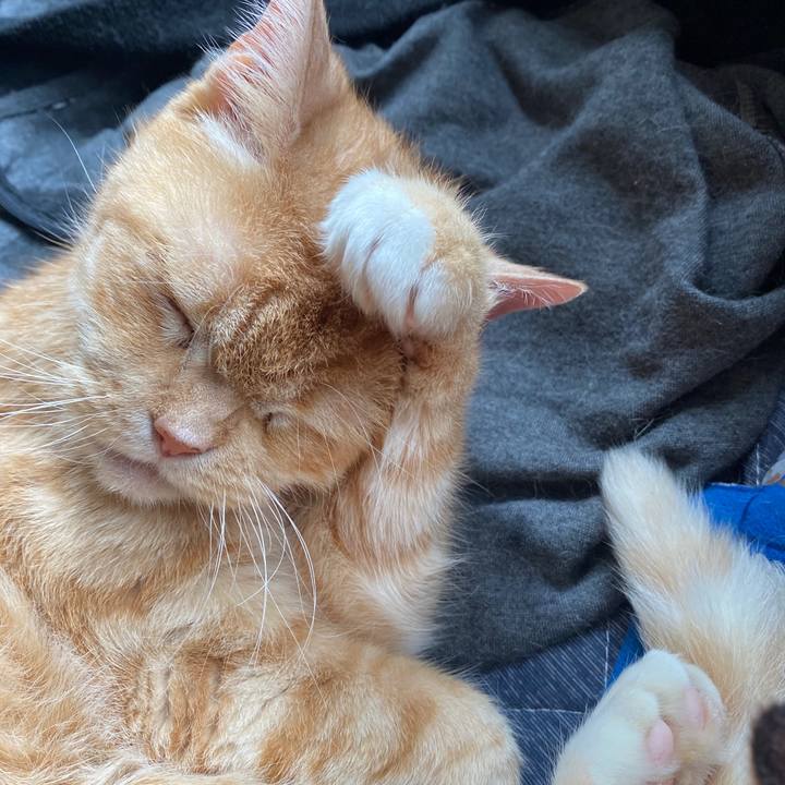 Af6ad93e 251d 46ee ba68 4afda6f4cf4b 1590461345095