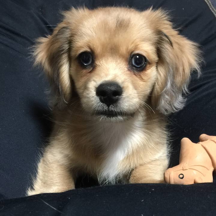 Af6ade01 7a7f 4033 a0f4 7ce7f5e44b5d 1570970590942