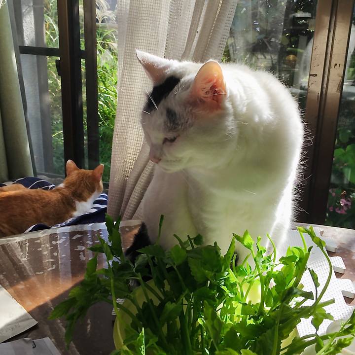 Af6af127 6f1f 4a74 b146 d1aef68cc4a3 1601972830944