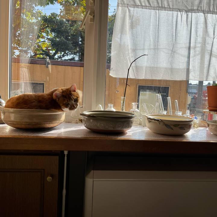 Af6af4aa e203 49fd b79b 754d0ec841cd 1698727791658