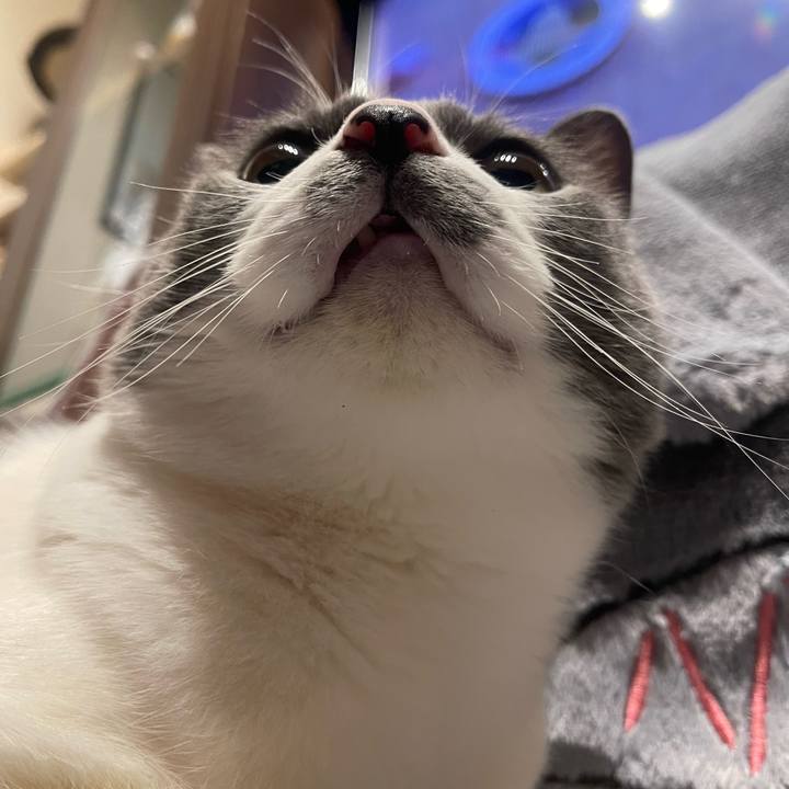 Af6af6d3 cfa3 4064 9e1e 63fa50549851 1747671342258