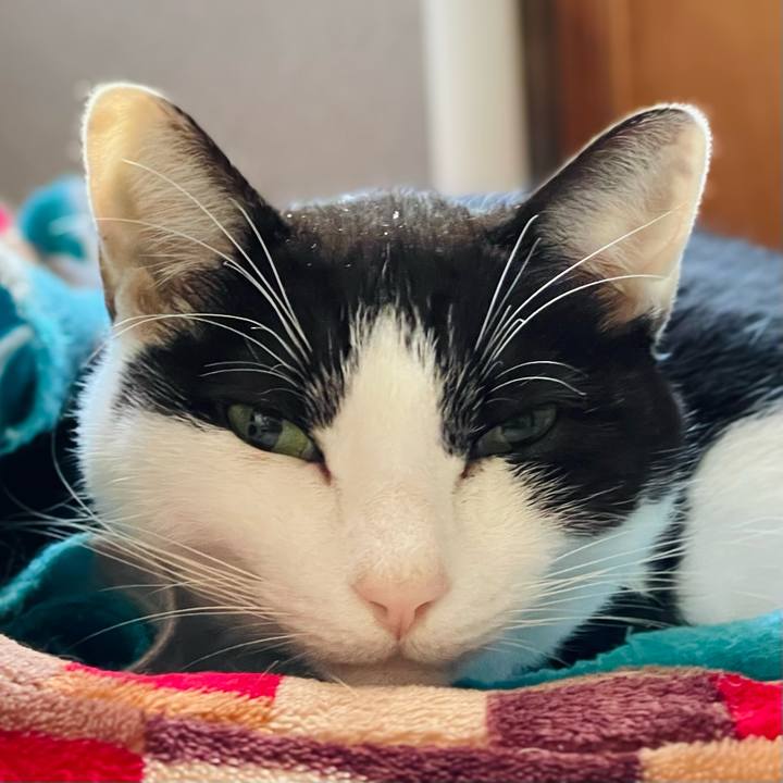 Af6b2299 e42a 4821 b3c9 9d07a5684e8e 1640054587250