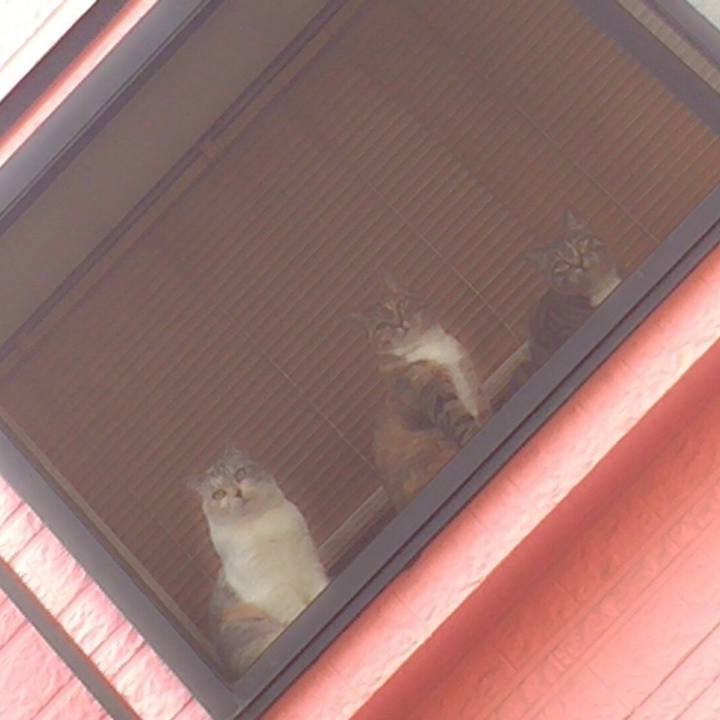 Af6b296e 083b 4a3f 9a9d 3fd9d2eef72f 1725294664003