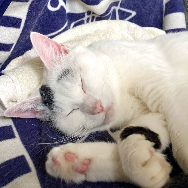 Af6b47ee c675 436a 9c78 fb3c6d0ee126 1664172708464