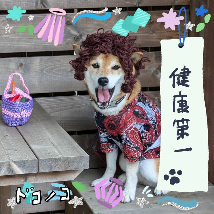 Af6b71df 2c19 493a 88d9 db457fa210ee 1720883113282