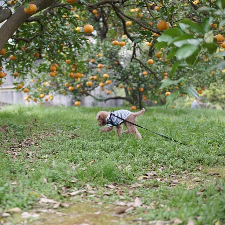 Af6b891d 4c58 4b5e add0 d99d5663a632 1680430865215