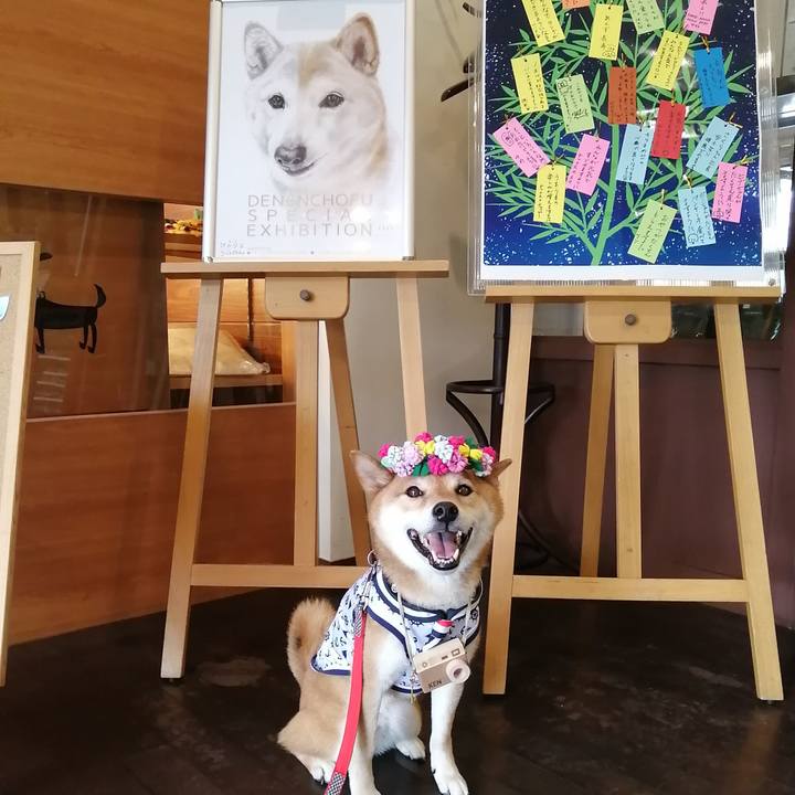 Af6b898d e3ae 487d b423 d4898c50cfb4 1625476146809