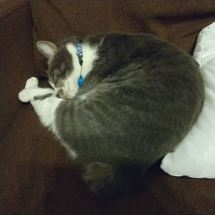 Af6b9886 bbc0 4cfa 856b 58a0017fcafa 1610199968631