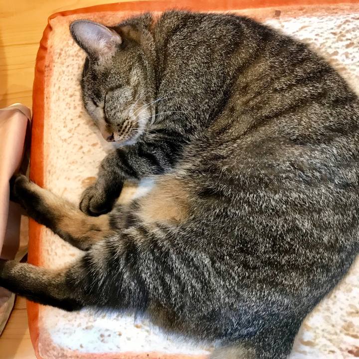 Af6ba283 c1ee 435a a7e2 2020649660fd 1532487223129