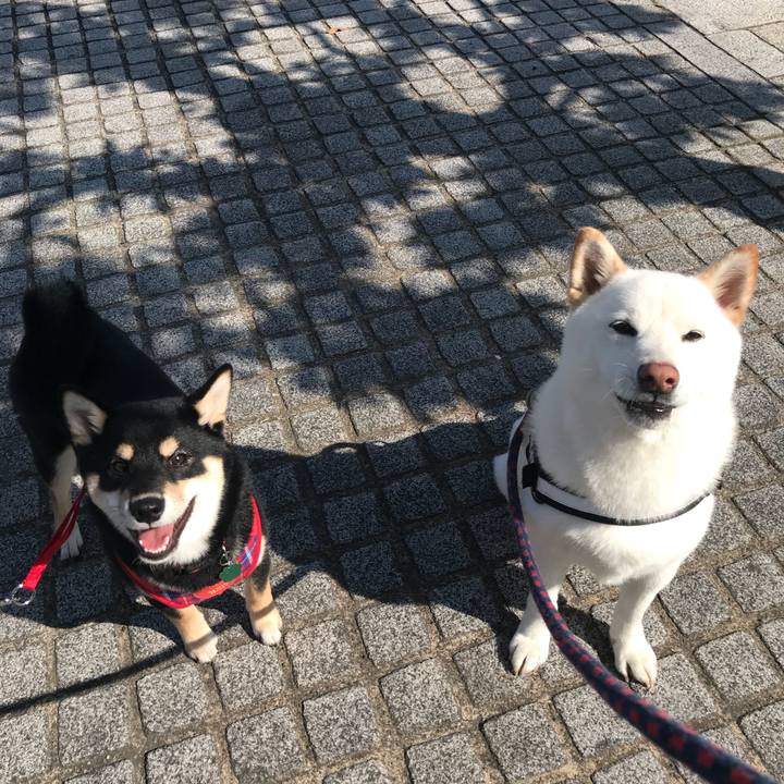 Af6bc3ee 3067 4d33 bd46 563702d67305 1527919994694