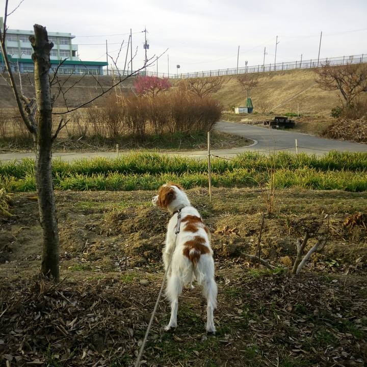 Af6be8d2 3998 42cf 8c14 dda0b73356d8 1518999858834