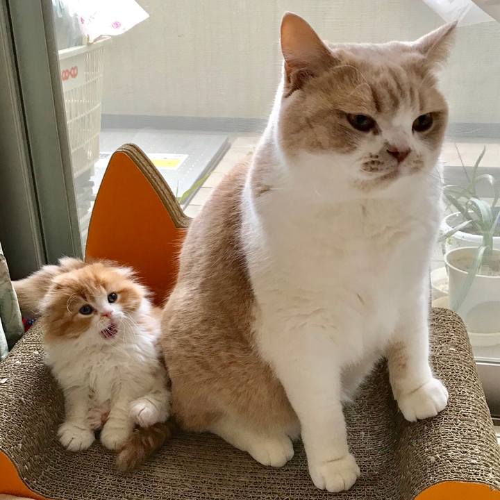 Af6befc9 82ab 4459 bbad 3ecb4bb34b57 1515115618932