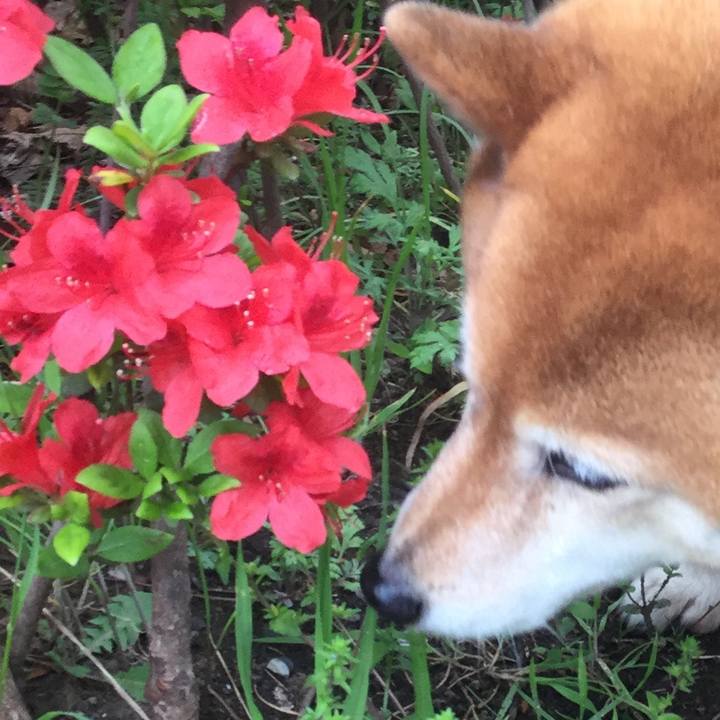 Af6c4a09 a872 467a a78a dfa64adde2c6 1586055847376