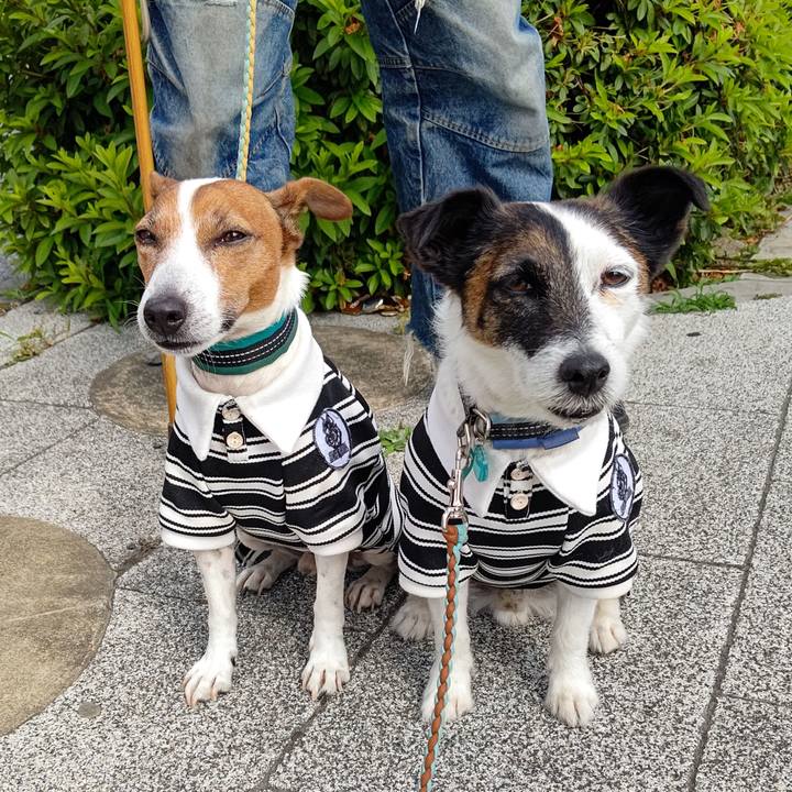 Af6c93eb f620 42e9 8135 f4569084feaf 1716680385571