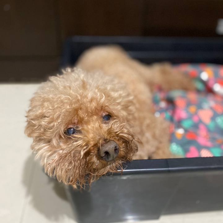 Af6cac76 e406 417e b57d 15fec303fa65 1583592552257