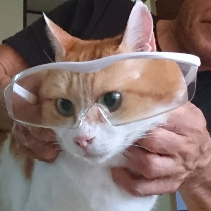 Af6ccfd4 78e0 42b2 ab62 3a9fa0fd69ac 1570187680618