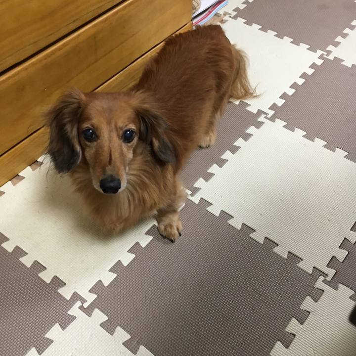 Af6cf286 c95e 406a b930 4713983481fc 1572702588148