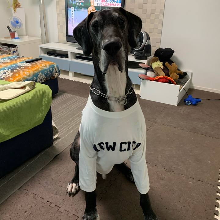 Af6d23ad ccb0 450a 9a04 14699afcb1c0 1571266580221