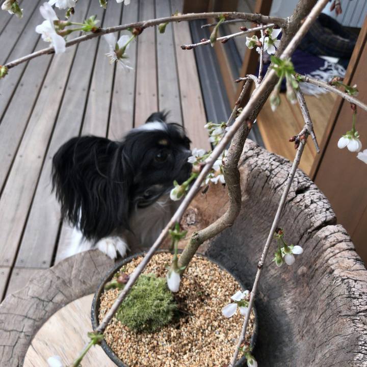 Af6d72ed 23d9 4e7a 90ee 79f377462b52 1521798080254