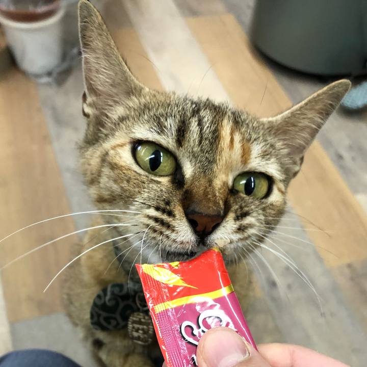 Af6d8188 7ed1 494f bc62 c1fec78176f4 1593590413411