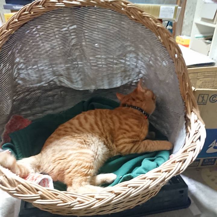 Af6dcb60 1ae4 4a5e a7c1 28306a182716 1640253952171