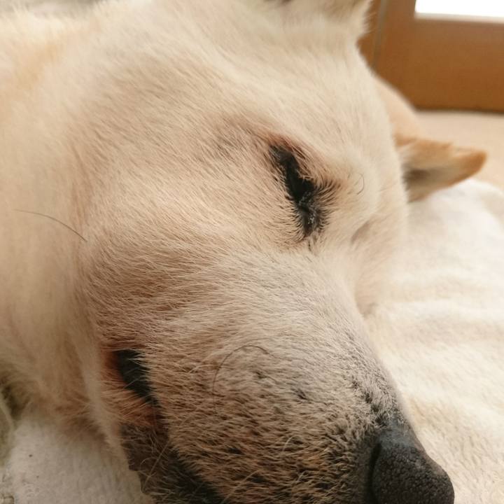 Af6de583 7afd 42de 915a 96536005c940 1535161895194