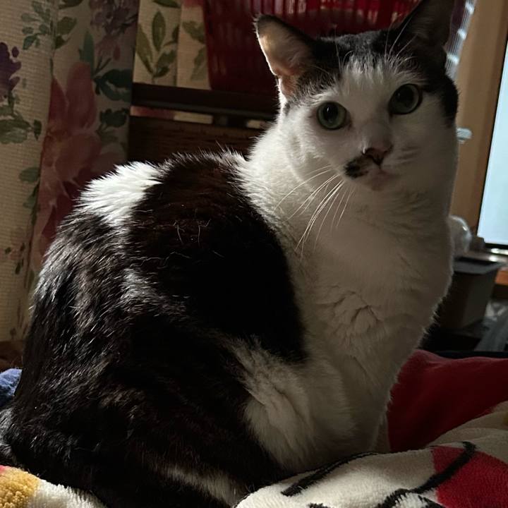 Af6e09b5 1ac4 4b7d ae1a a6df120ad615 1776552893700