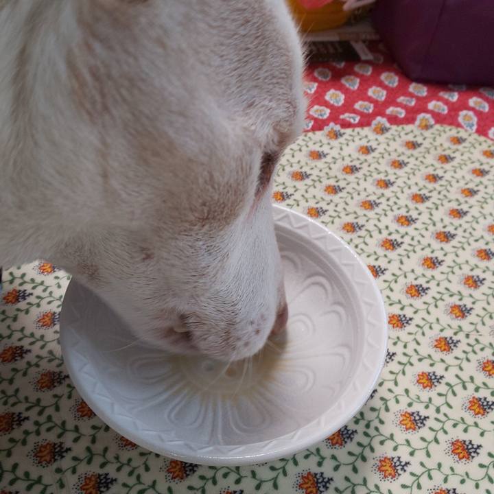 Af6e16f1 11bd 45ae b35b 180411d35bb4 1544141347568