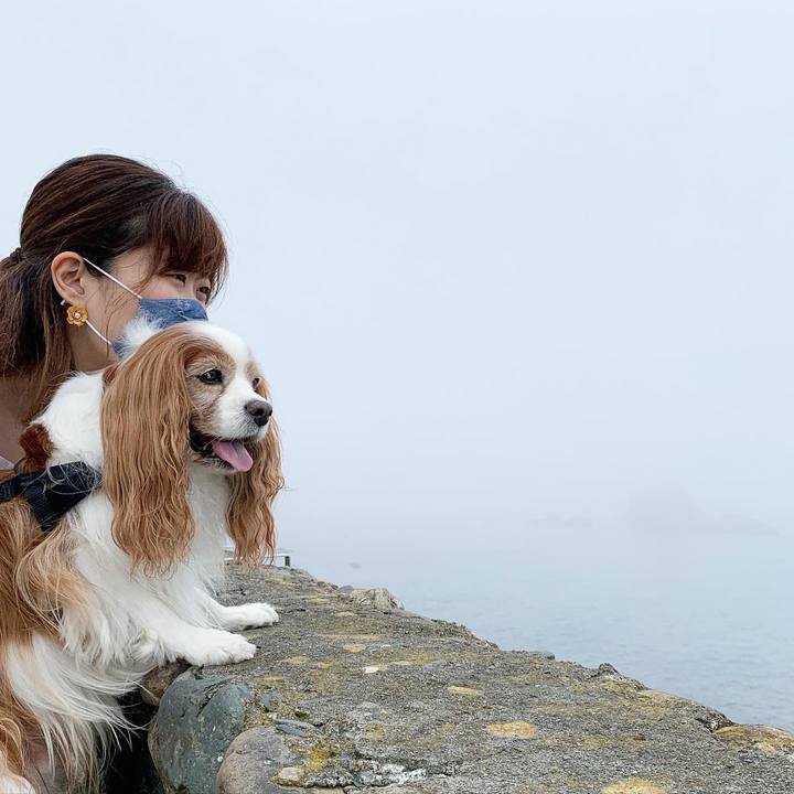 Af6e253d 40ee 421d bfa0 c3cd57c43c2b 1595812818081