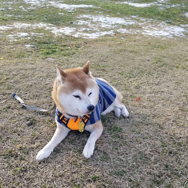 Af6e80de cef1 4c64 ae0c 12419422b0fa 1639546436874