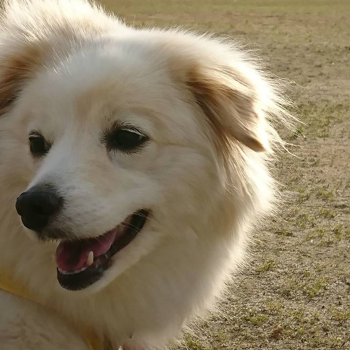 Af6ea910 0475 4402 9f93 e26a2da4b214 1529875306748