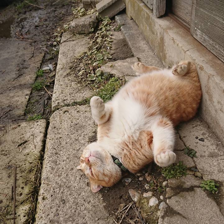 Af6ec6c7 759e 42a6 91ac 6a49c9b4c7f7 1582343269390