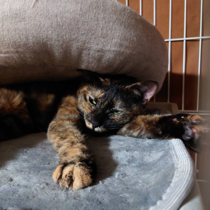 Af6eeeb2 7467 4598 9403 fc6dcb481a6c 1648905538693