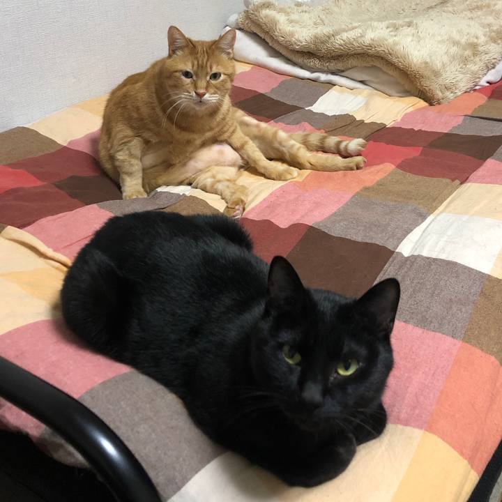 Af6eef32 eaba 431d a84c a4aaa6761e20 1672833987671