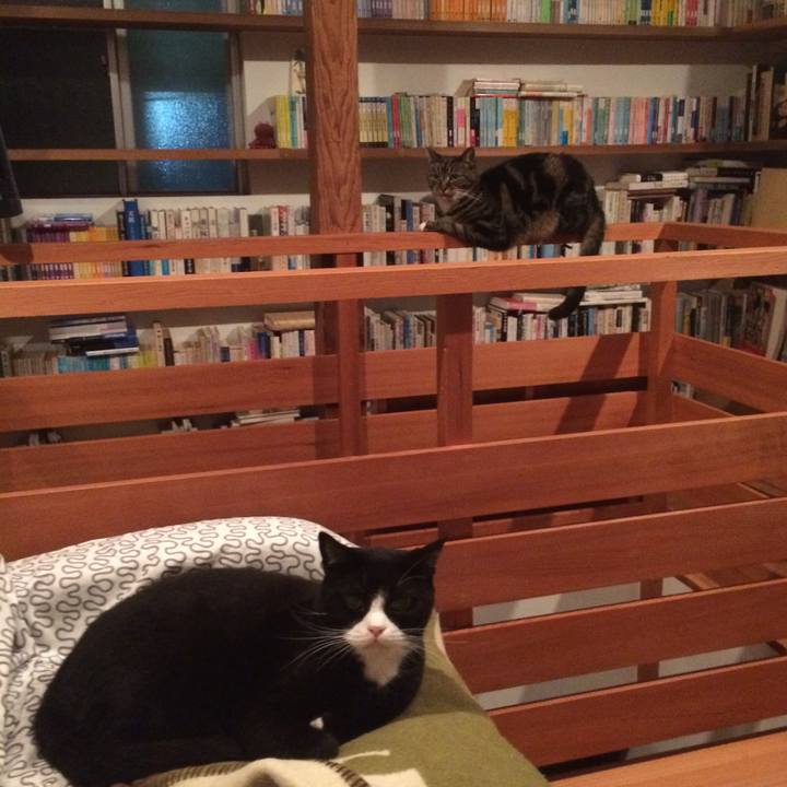 Af6f009a 2173 46f5 9a46 24f428c733f7 1539606880767