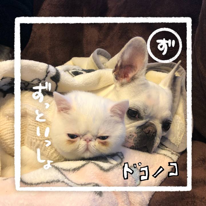 Af6f3360 c7ff 4aa3 8517 eb8a2d334011 1685957974531