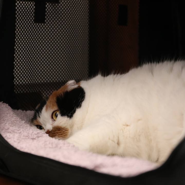 Af6f3d9d fa48 4a9e b8f3 94cb6fb9f886 1562762688464