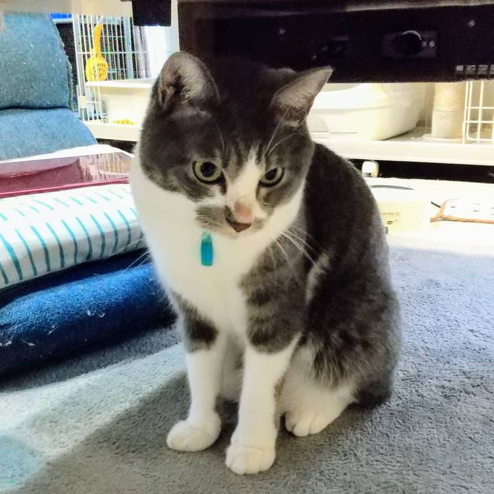 Af6f560f e6b4 4d12 93ca b835010abd50 1633989775282