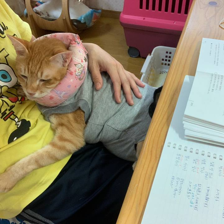 Af6fe464 f14a 4da8 a92f eb401dbaaf7b 1635638257388